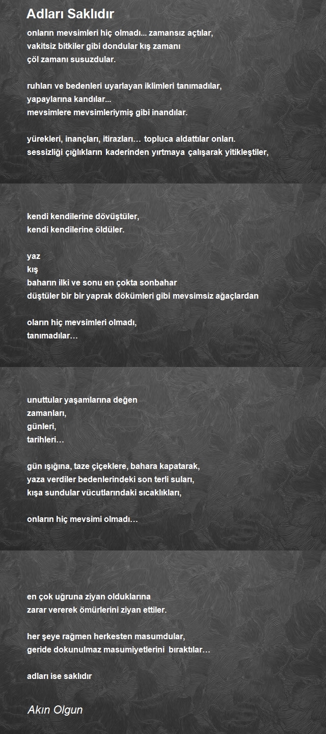 Akın Olgun