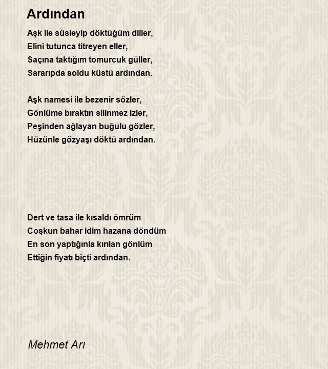 Mehmet Arı