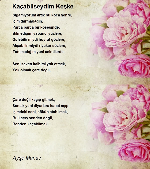 Ayşe Manav