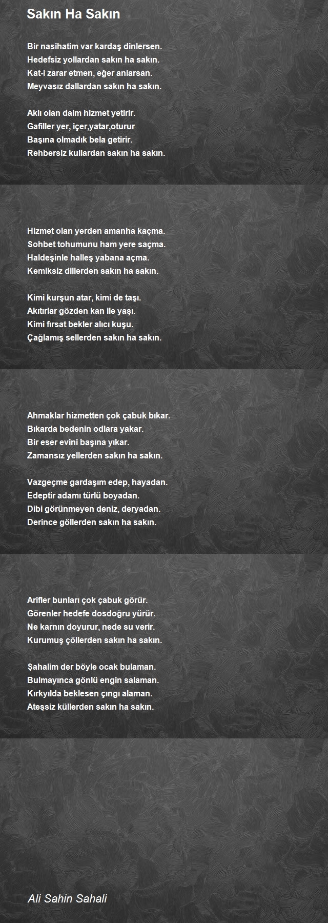 Ali Sahin Sahali