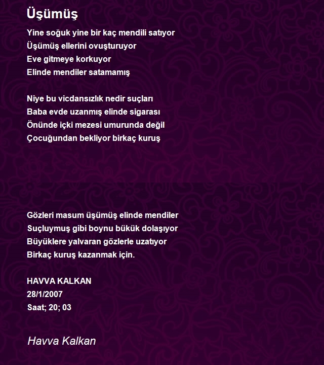 Havva Kalkan
