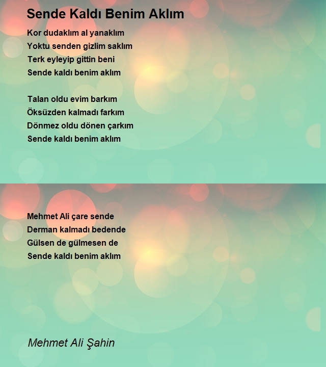 Mehmet Ali Şahin