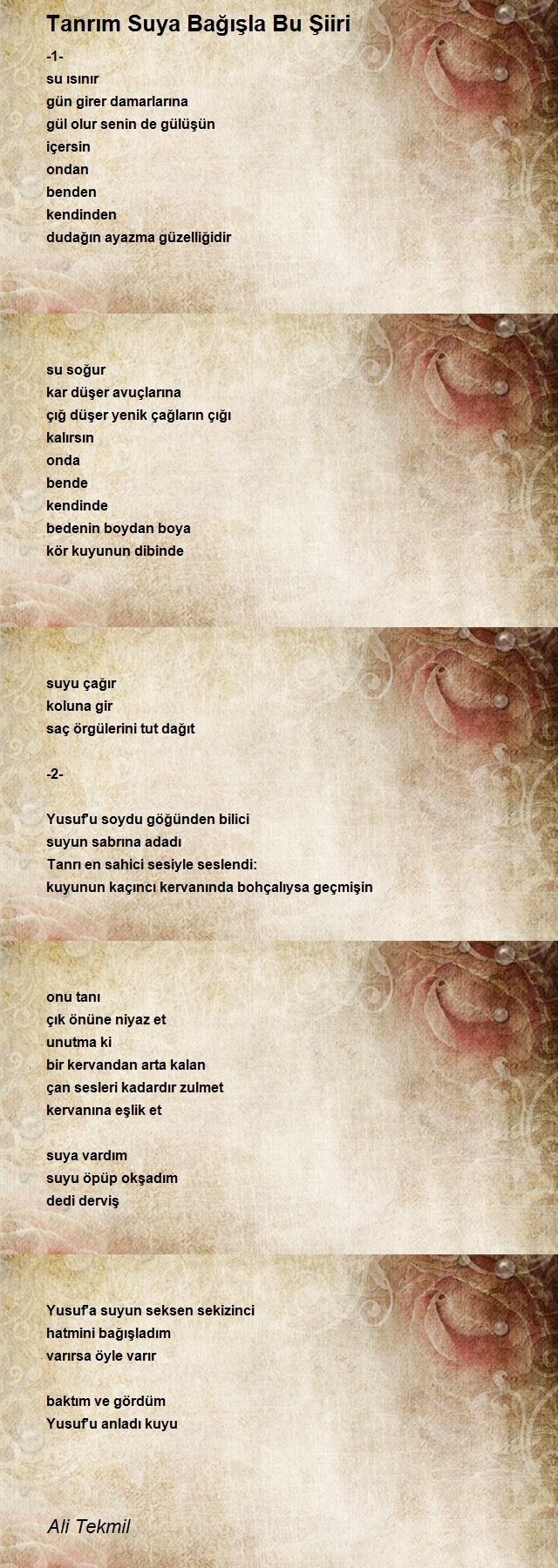 Ali Tekmil