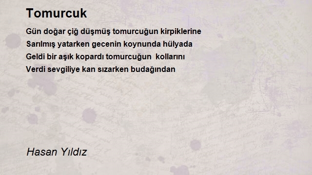 Hasan Yıldız