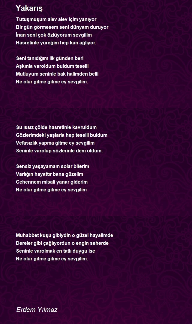Erdem Yılmaz