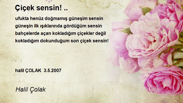 Halil Çolak