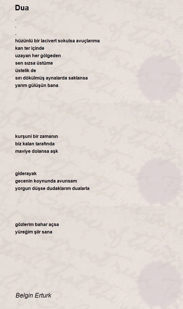 Belgin Erturk