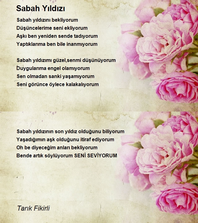 Tarık Fikirli