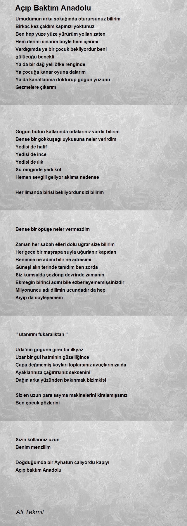 Ali Tekmil