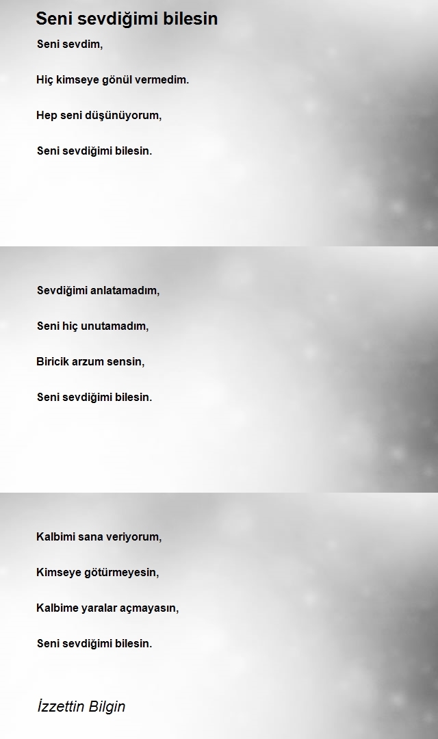İzzettin Bilgin