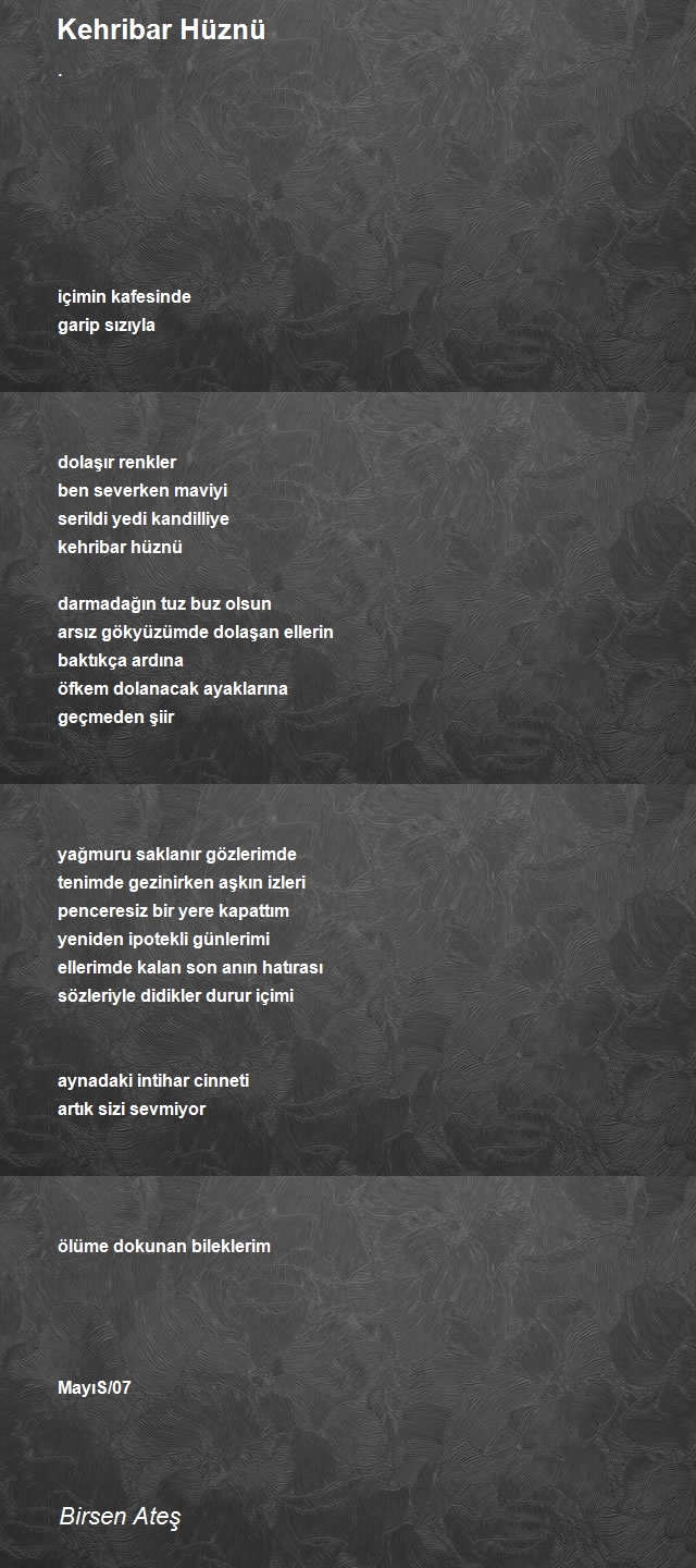 Birsen Ateş