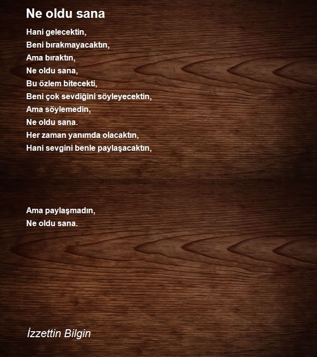 İzzettin Bilgin