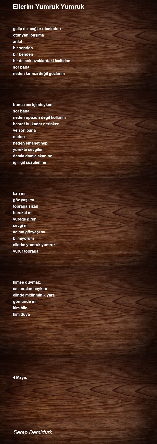 Serap Demirtürk