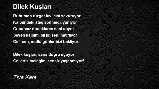 Ziya Kara