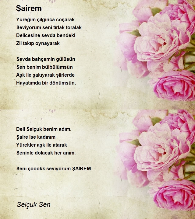 Selçuk Sen