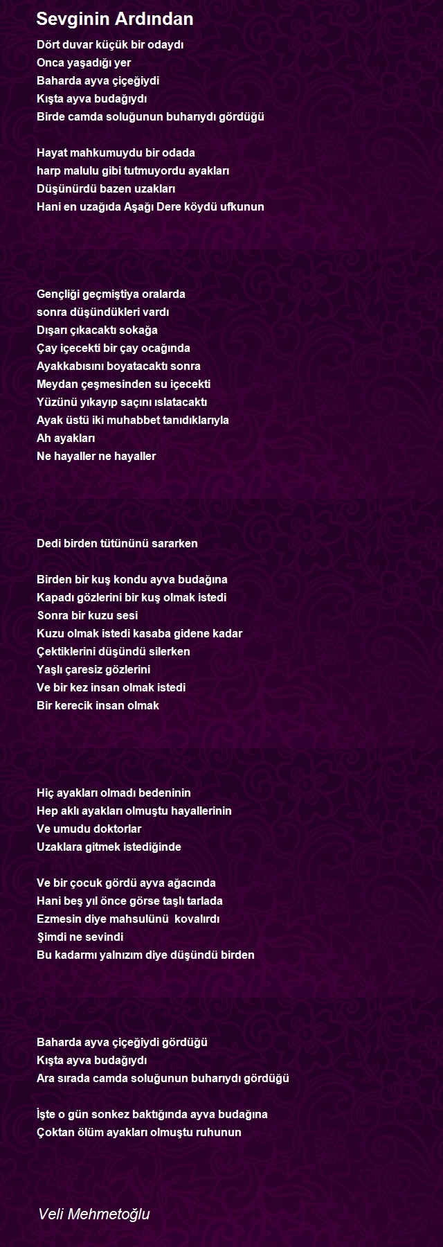 Veli Mehmetoğlu