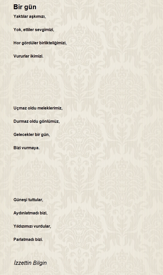 İzzettin Bilgin