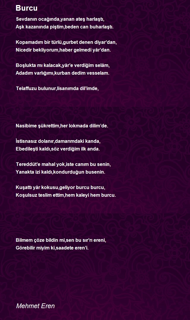 Mehmet Eren