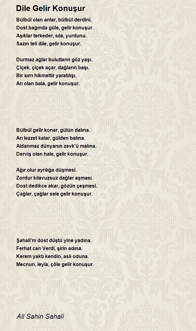 Ali Sahin Sahali