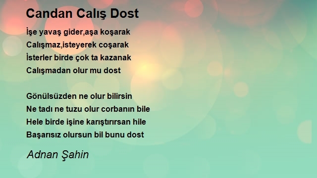 Adnan Şahin
