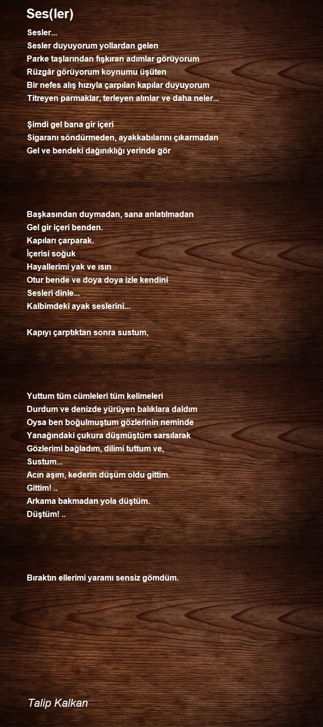 Talip Kalkan