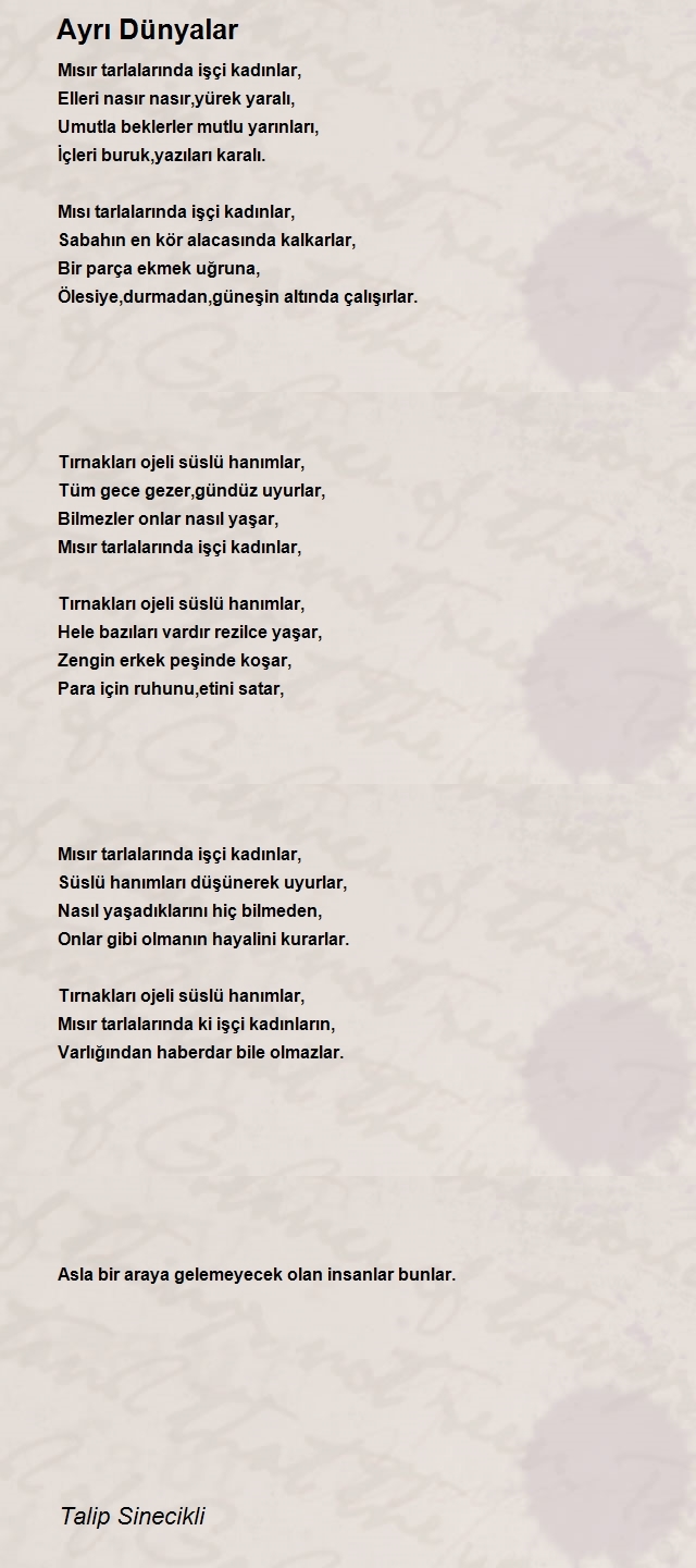 Talip Sinecikli