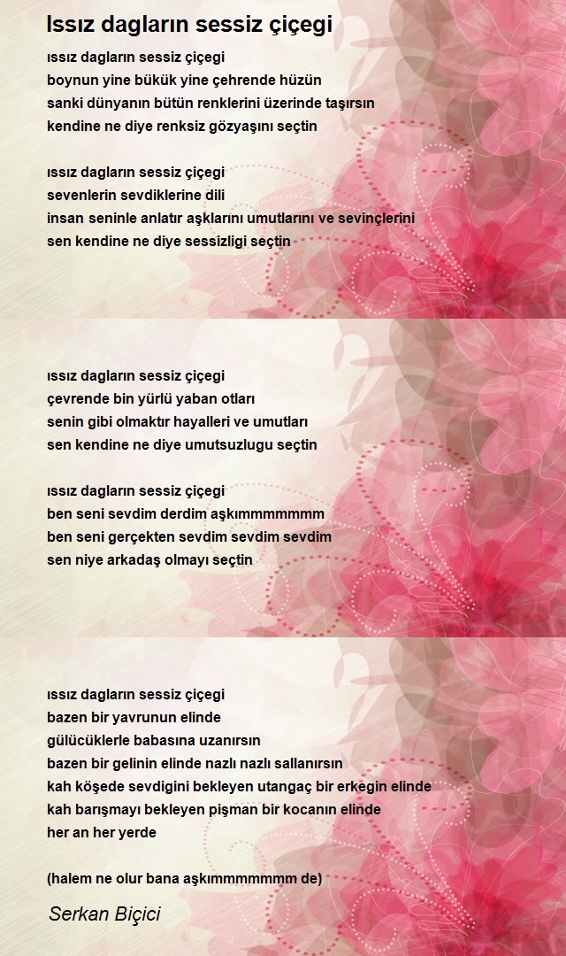 Serkan Biçici