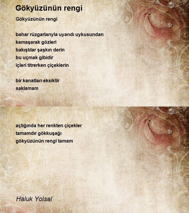 Haluk Yolsal