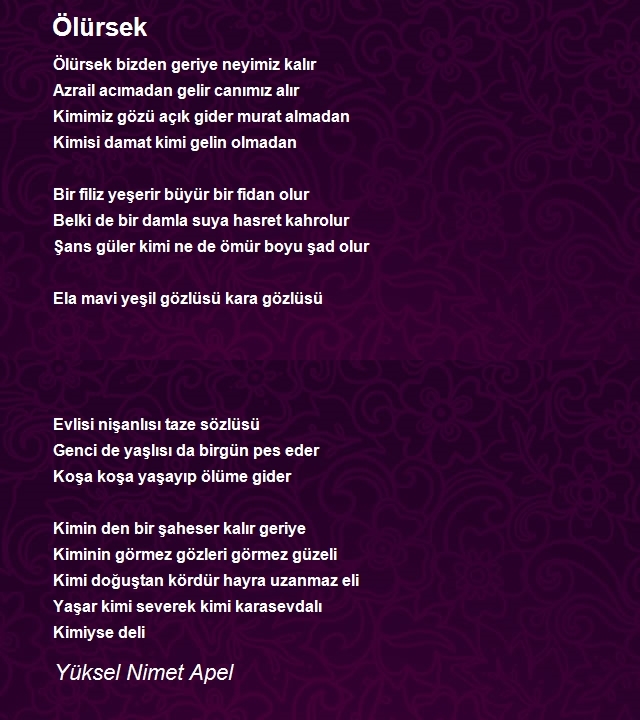 Yüksel Nimet Apel