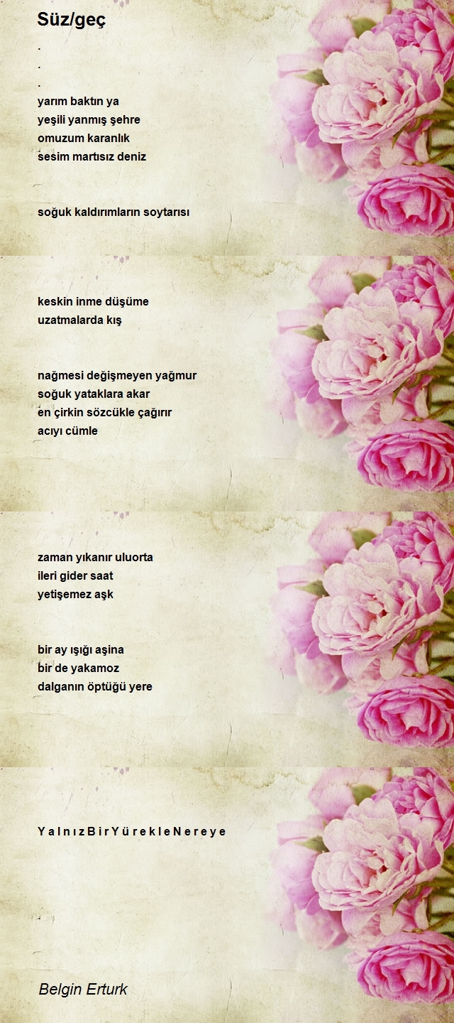 Belgin Erturk