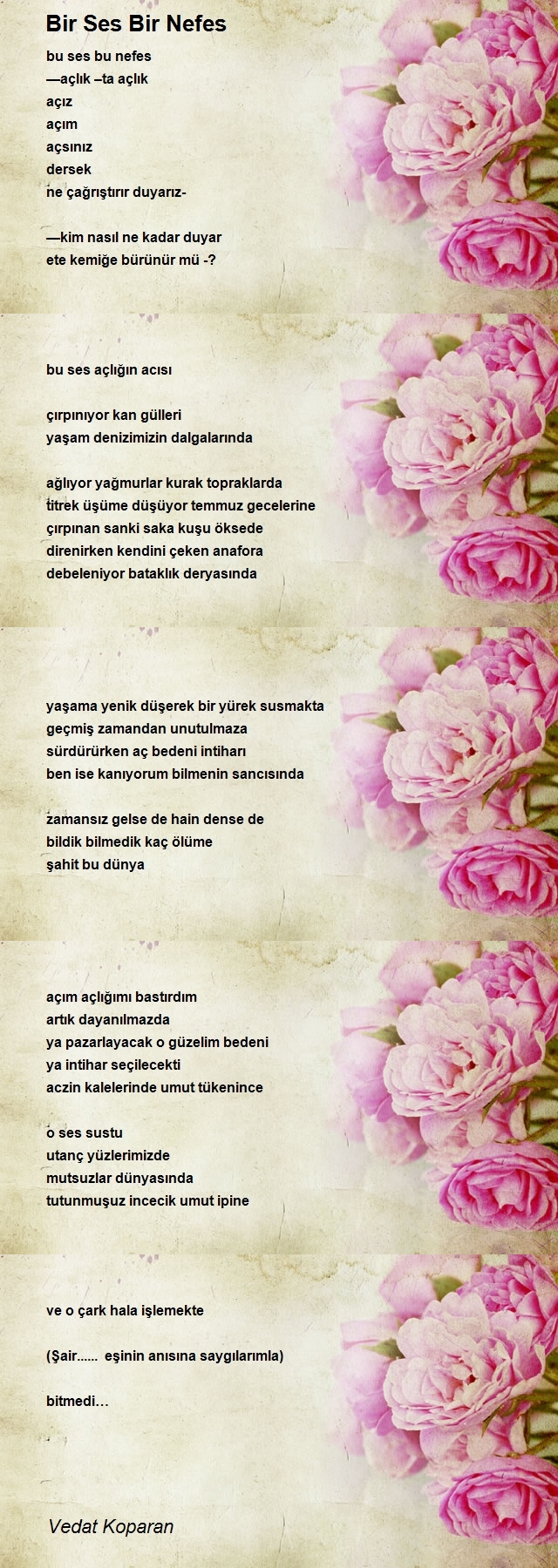 Vedat Koparan