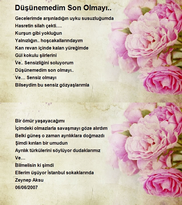 Zeynep Aksu
