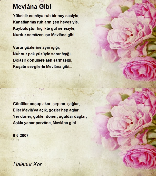 Halenur Kor