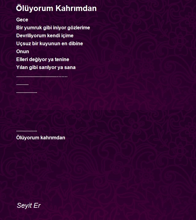 Seyit Er