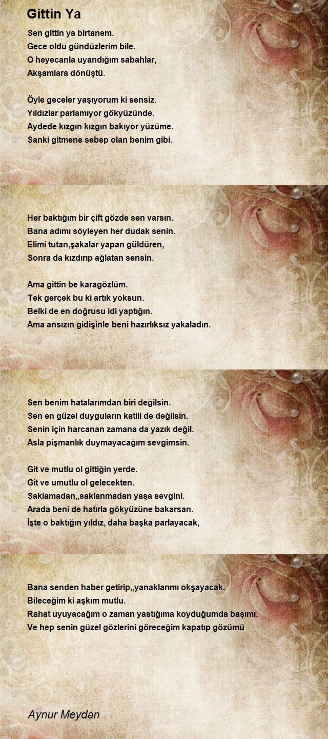 Aynur Meydan