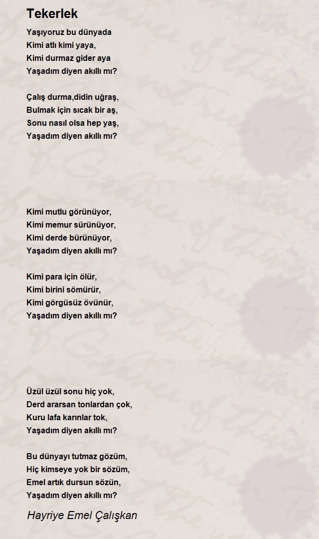 Hayriye Emel Çalışkan