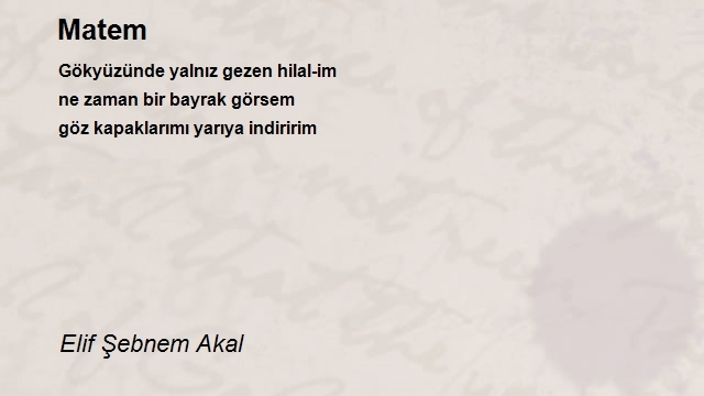Elif Şebnem Akal