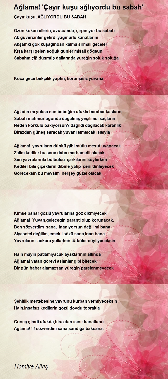 Hamiye Alkış