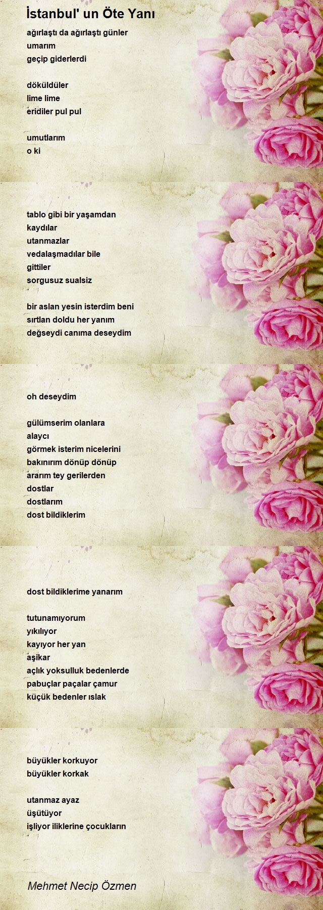 Mehmet Necip Özmen