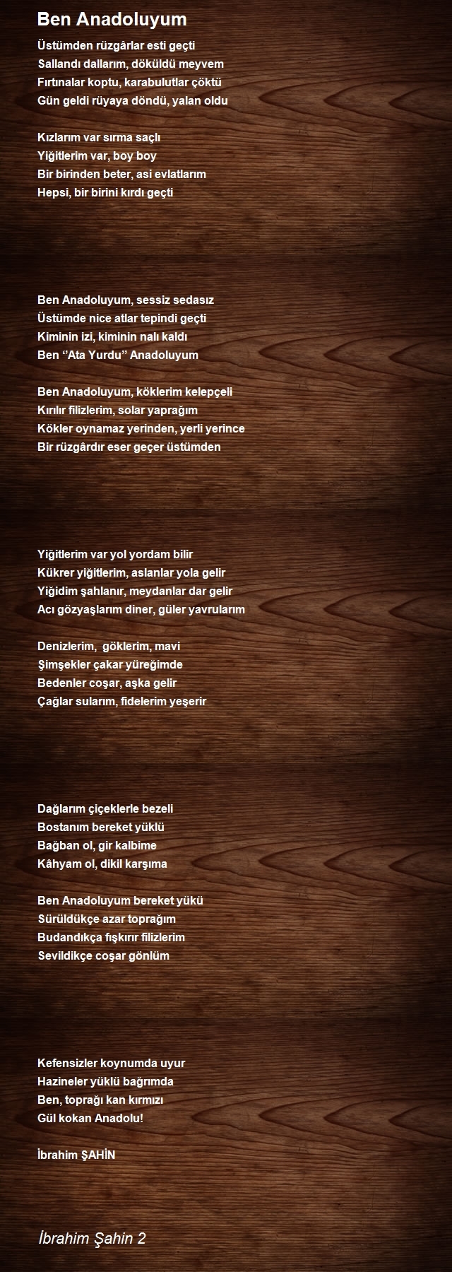 İbrahim Şahin 2
