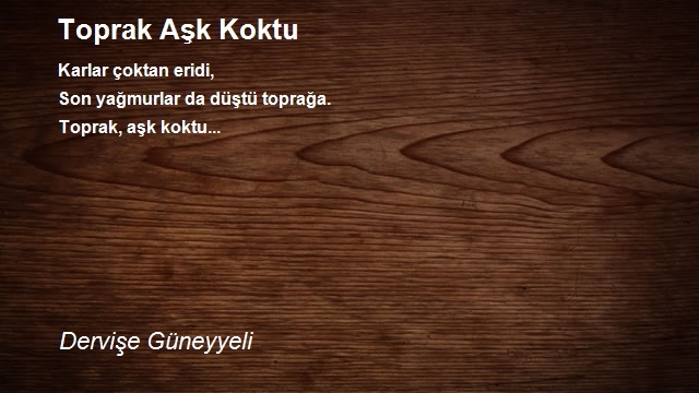 Dervişe Güneyyeli