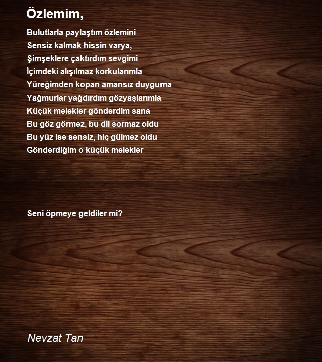 Nevzat Tan