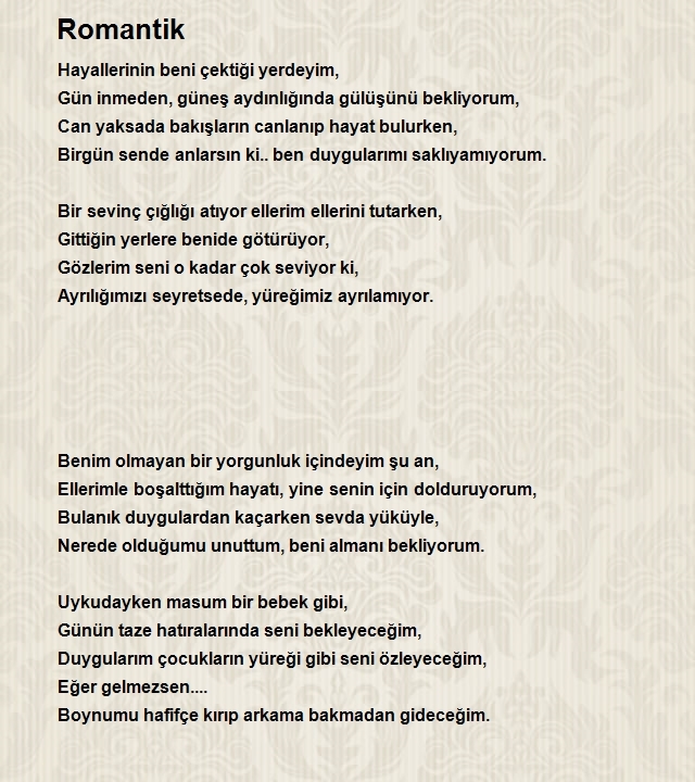 Ali Usta