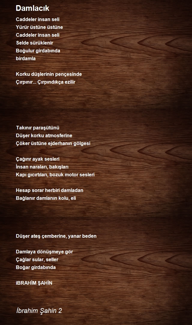 İbrahim Şahin 2
