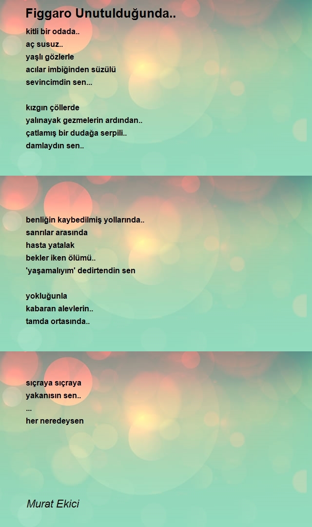 Murat Ekici