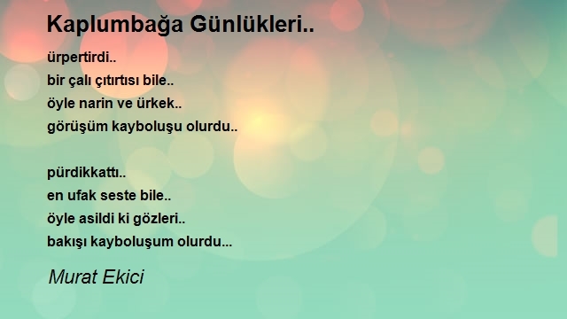Murat Ekici