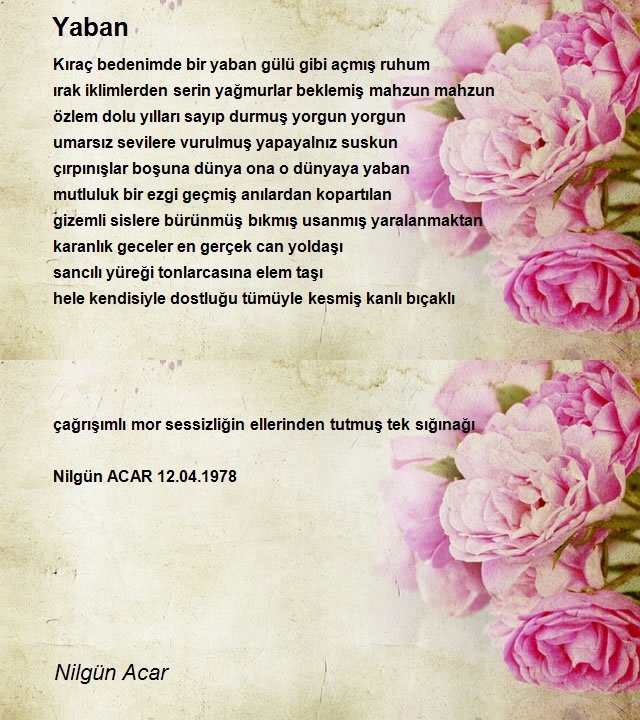 Nilgün Acar