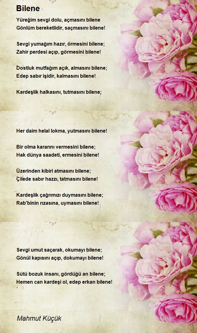 Mahmut Küçük
