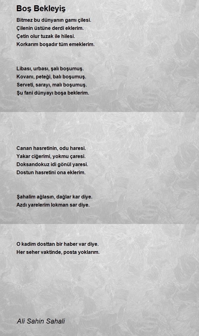 Ali Sahin Sahali