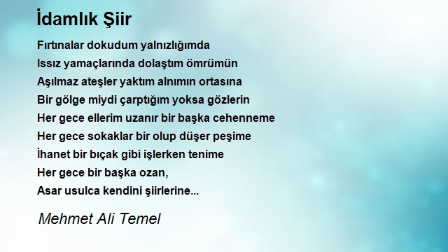 Mehmet Ali Temel